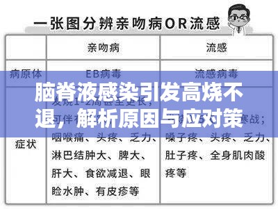 脑脊液感染引发高烧不退，解析原因与应对策略