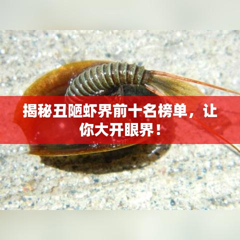 揭秘丑陋虾界前十名榜单，让你大开眼界！