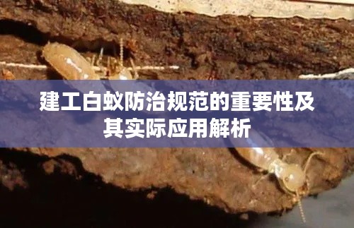建工白蚁防治规范的重要性及其实际应用解析