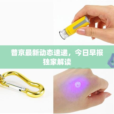 普京最新动态速递，今日早报独家解读