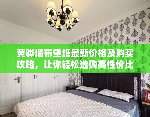 黄骅墙布壁纸最新价格及购买攻略，让你轻松选购高性价比产品！