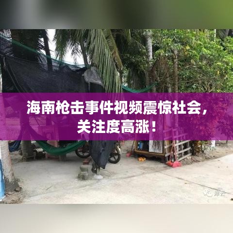 海南枪击事件视频震惊社会，关注度高涨！