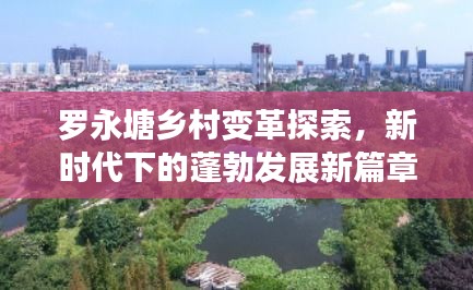 罗永塘乡村变革探索，新时代下的蓬勃发展新篇章