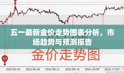 五一最新金价走势图表分析，市场趋势与预测报告