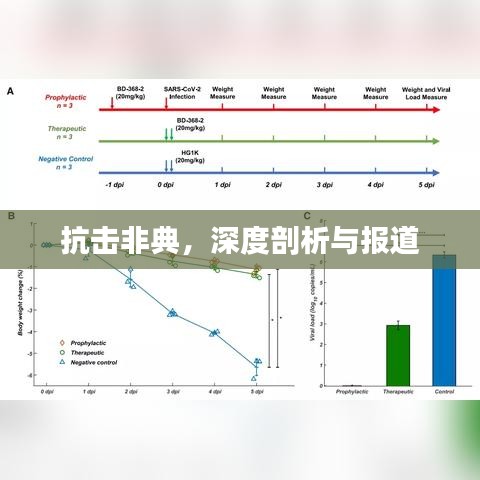 抗击非典，深度剖析与报道
