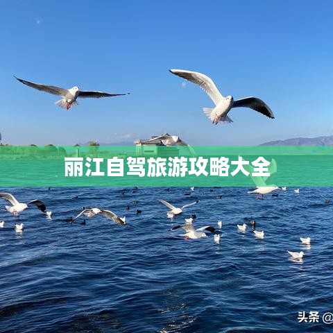 丽江自驾旅游攻略大全