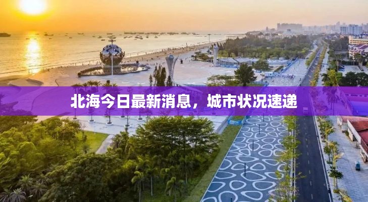 北海今日最新消息，城市状况速递
