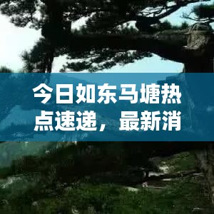 今日如东马塘热点速递，最新消息汇总