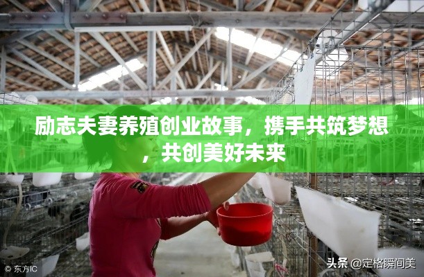 励志夫妻养殖创业故事，携手共筑梦想，共创美好未来
