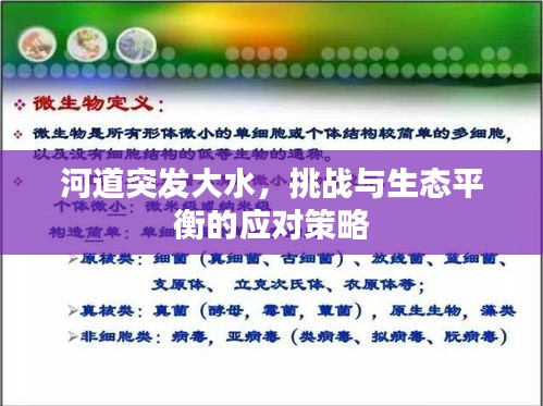 河道突发大水，挑战与生态平衡的应对策略