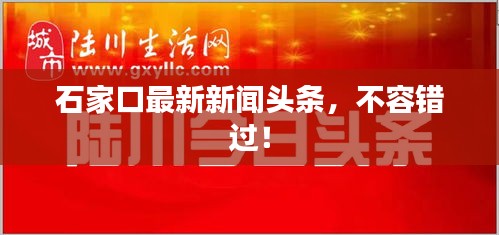 石家口最新新闻头条，不容错过！
