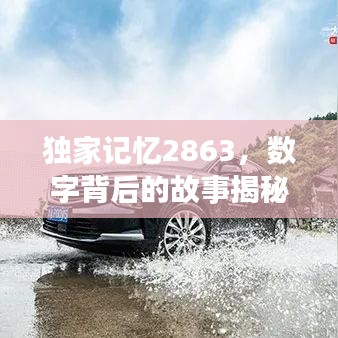 独家记忆2863，数字背后的故事揭秘
