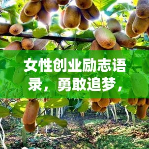 女性创业励志语录，勇敢追梦，无畏前行，激发无限潜能！