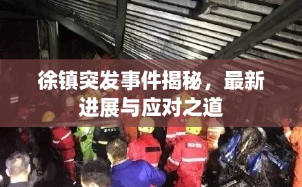 徐镇突发事件揭秘，最新进展与应对之道
