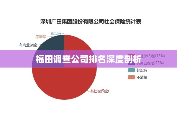 福田调查公司排名深度剖析
