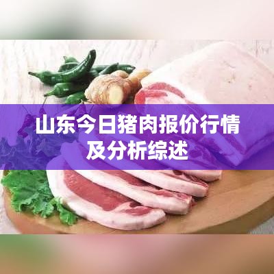山东今日猪肉报价行情及分析综述