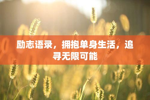 励志语录，拥抱单身生活，追寻无限可能
