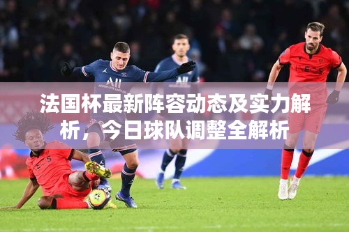 法国杯最新阵容动态及实力解析，今日球队调整全解析
