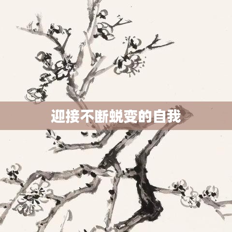 迎接不断蜕变的自我