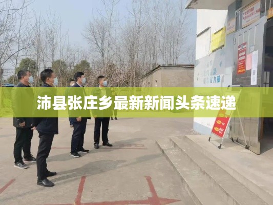 沛县张庄乡最新新闻头条速递
