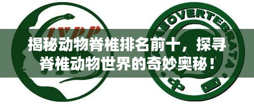 揭秘动物脊椎排名前十，探寻脊椎动物世界的奇妙奥秘！