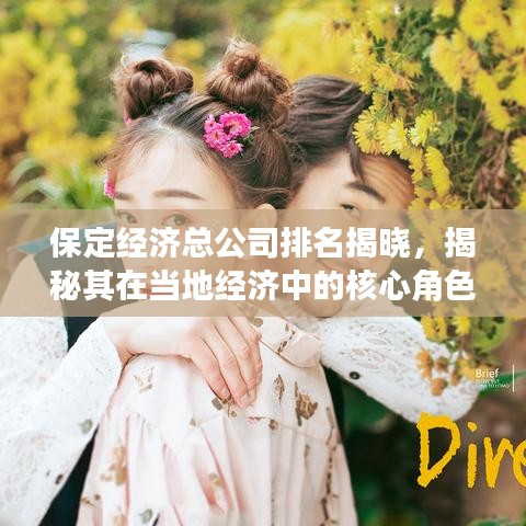 保定经济总公司排名揭晓，揭秘其在当地经济中的核心角色
