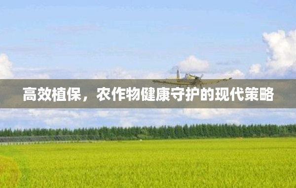 高效植保，农作物健康守护的现代策略