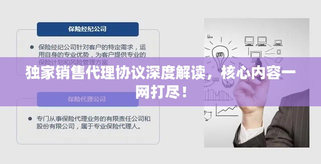 独家销售代理协议深度解读，核心内容一网打尽！