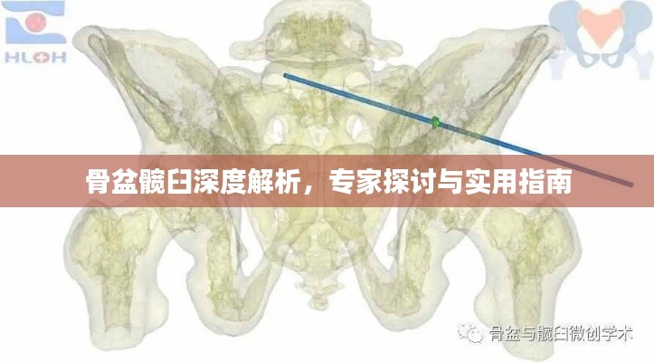 骨盆髋臼深度解析，专家探讨与实用指南