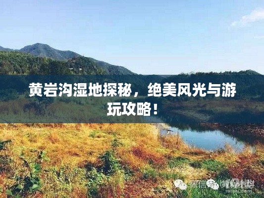 风韵犹存