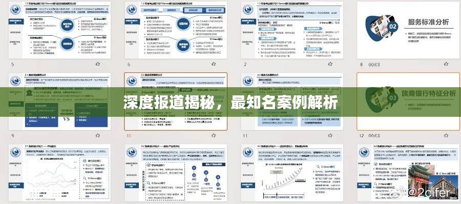 深度报道揭秘，最知名案例解析