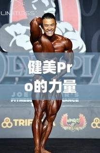健美Pro的力量与美之旅，励志语录塑造完美人生