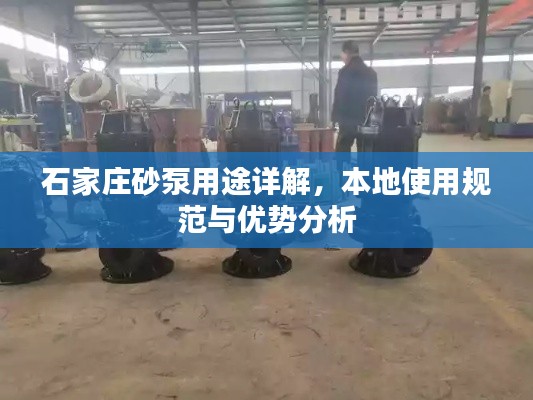 石家庄砂泵用途详解，本地使用规范与优势分析