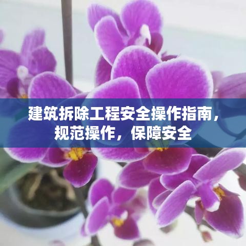 建筑拆除工程安全操作指南，规范操作，保障安全