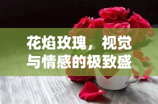 花焰玫瑰，视觉与情感的极致盛宴——深度探寻