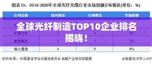 全球光纤制造TOP10企业排名揭晓！