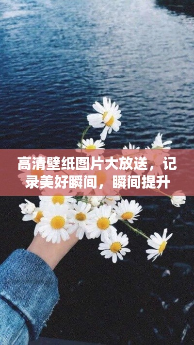 高清壁纸图片大放送，记录美好瞬间，瞬间提升生活品质！