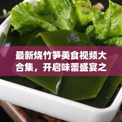 最新烧竹笋美食视频大合集，开启味蕾盛宴之旅