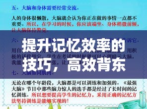 提升记忆效率的技巧，高效背东西的方法