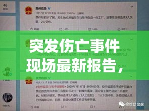 突发伤亡事件现场最新报告，细节揭秘，真相待查