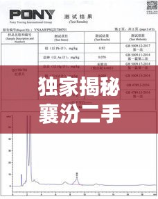 独家揭秘襄汾二手麻将椅子最新动态，市场行情、购买指南一网打尽！