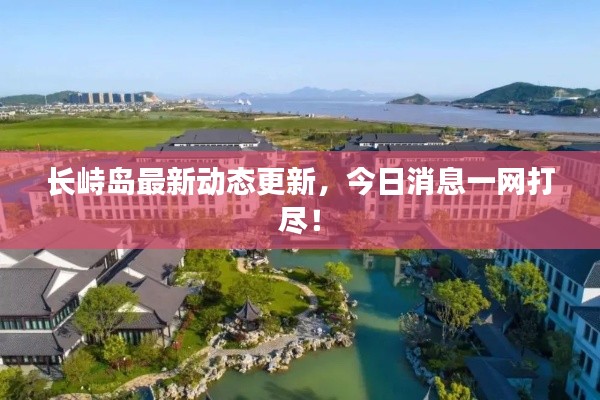 长峙岛最新动态更新，今日消息一网打尽！