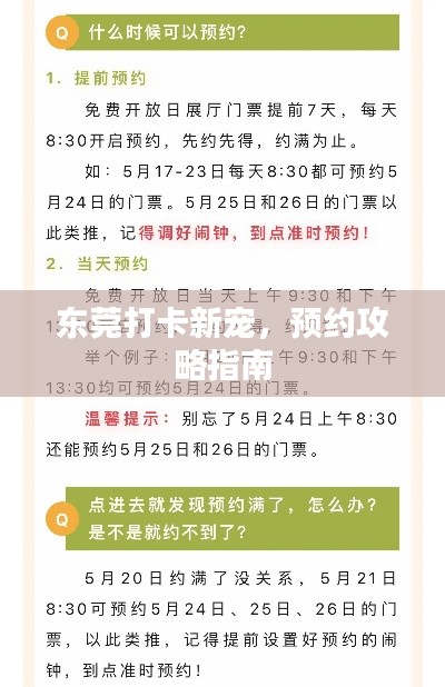 东莞打卡新宠，预约攻略指南