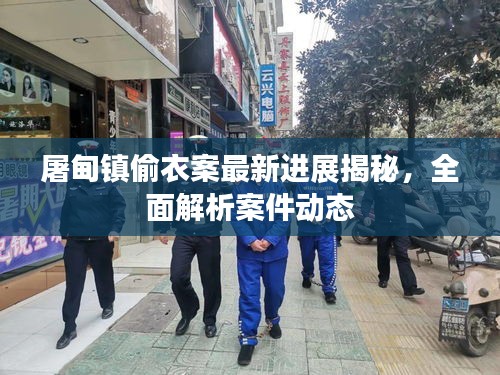 屠甸镇偷衣案最新进展揭秘，全面解析案件动态