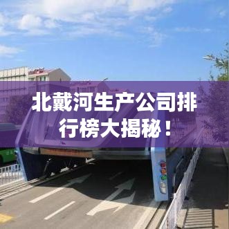 北戴河生产公司排行榜大揭秘！
