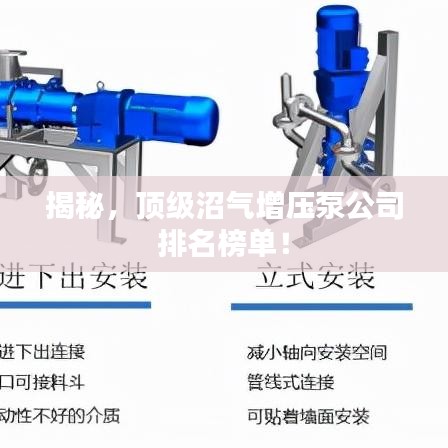 揭秘，顶级沼气增压泵公司排名榜单！