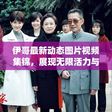 伊哥最新动态图片视频集锦，展现无限活力与魅力瞬间