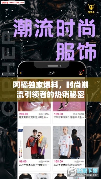 纲挈目张