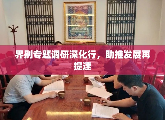 界别专题调研深化行，助推发展再提速
