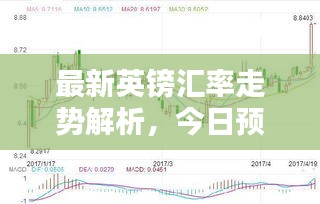 最新英镑汇率走势解析，今日预测及动向